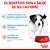 Ração Seca Royal Canin Mini Puppy para Cães Filhotes de Porte Pequeno - 7,5Kg - Imagem 4