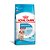 Ração Seca Royal Canin Medium Puppy para Cães Filhotes de Porte Médio - 12Kg - Imagem 2