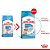 Ração Seca Royal Canin Medium Puppy para Cães Filhotes de Porte Médio - 12Kg - Imagem 3