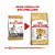 Ração Seca Royal Canin para Cães Adultos da Raça Yorkshire - 7,5Kg - Imagem 3