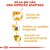 Ração Seca Royal Canin para Cães Adultos da Raça Yorkshire - 7,5Kg - Imagem 6