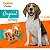 Cookie GoldeN Cães Adultos Porte Pequeno Sabor Original 750g - Imagem 3