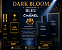 Dark Bloom → REF: Bleu de Chanel - Imagem 1