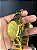 Coalition force Gold - Imagem 3