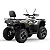 Quadriciclo Mxf Fox 325cc 4 Tempos 4x4 Cinza - Imagem 4