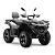 Quadriciclo Mxf Fox 325cc 4 Tempos 4x4 Cinza - Imagem 2
