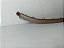 Aplique Saia Frontal Rose Parachoque Jac E-js1 2022 23 2025 - Imagem 2