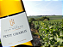 Maison Jean Notton - Petit Chablis - Blanc - 2022 - Imagem 1