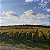 Domaine Desvignes - Givry - Blanc - 2022 - 0,75 - Imagem 4