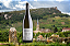 Domaine Gaillard - Saint Veran - Blanc - 2024 - 0,75 - Imagem 1