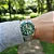 Relógio Orient Masculino Automático F49SS027NH-E1SX Aço Verde Hulk - Imagem 5