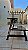 Suporte Kettlebells Expositor Academia Mod2 Academia Condominio Taurofitness - Imagem 6