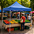 Tenda Gazebo Dobrável Sanfonada Azul - Imagem 2