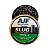 Chumbinho Slug 4.51mm .177 | 10gr | Ajf Airguns | 400un. - Imagem 2