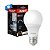 Lâmpada LED 4,8W 6500K Bulbo E27 Avant - Imagem 1