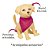 PET DA BARBIE VETERINARIA TAFF - PUPEE - Imagem 1