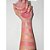 Blush Iluminador Classic! - Imagem 2