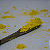 CORANTE EM PÓ AMARELO [TC700] - Imagem 1