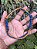 COLAR AJUSTÁVEL TWO SNAKE GRANDE PORTE - Imagem 8