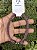 COLAR AJUSTAVEL CLEAN MÉDIO PORTE - Imagem 4