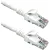 Cabo de Rede 5M CAT6 Branco PlusCable - Imagem 2