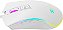 Mouse Gamer Havit MS1034 Branco 8000DPI RGB 7 Botoes e Macro - Imagem 5