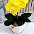 Arranjo de Orquidea Phalaenopsis Amarela Alice - Imagem 2