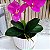 Arranjo de Orquidea Phalaenopsis Pink Alice - Imagem 3