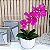 Arranjo de Orquidea Phalaenopsis Pink Alice - Imagem 4