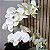 Arranjo de Orquidea Phalaenopsis Branca Camile - Imagem 3