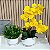 Dupla de Arranjo Verdinho e Orquidea Phalaenopsis Amarela Camile - Imagem 1