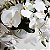 Arranjo Luna Orquidea Phalaenopsis Branca com 5 hastes - Imagem 2