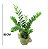 Planta Zamioculca 83cm - Imagem 3