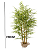 Planta Bamboo 190cm - Imagem 4