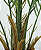 PLanta Palmeira Areca 90cm - Imagem 2