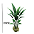 Planta Estrelicia 120cm - Imagem 4