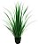 Capim Verde 90cm - Imagem 1