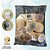 Sachê Lacrado 1 REAL 2017 - V-589 - 50 Moedas FC - Imagem 1