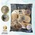 Sachê Lacrado 1 REAL 2019 EFIGIE - V-591 - 50 Moedas FC - Imagem 1