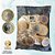 Sachê Lacrado 1 REAL 2020 - V-592 - 50 Moedas FC - Imagem 1