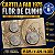 Promoção - Cartela com as Moedas da Série FAO 1975 - Flor de Cunho - Imagem 1