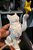 Estátua Gato Com Estrela Decorativa 10cm - Imagem 7
