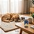 Floral De Bach Ansiecalm Projecta Pet Ansiedade Cães Gatos 26g - Imagem 3