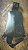 Slingbag Black - Imagem 4
