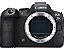 Canon R6 Mark Ii Corpo + Adaptador Snipiz Ef-eos R1 - Imagem 3
