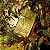 Arbo Forest Desodorante Colônia 100ml - Imagem 2