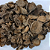 GARRA DO DIABO RIZOMA 25g - CASERALLI - Imagem 2
