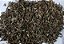 ARTEMISIA FOLHA 50g - CASERALLI - Imagem 2
