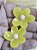 Flor Cristal em Resina (par) - Imagem 5