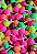 Pirulito neon - Imagem 1